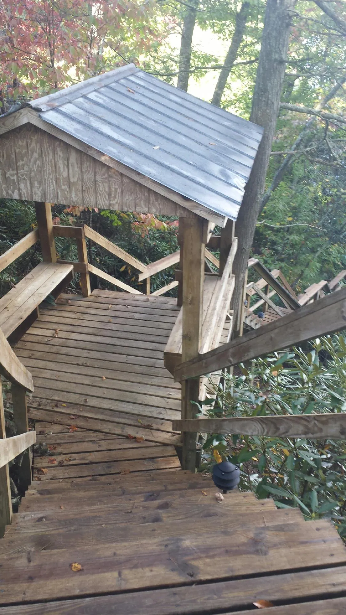 Metal roofed shelter over wooden steps on a wooded walkway — Skylight Repair & Installation work by our crew in Thorsby